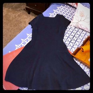 Banana Republic Skater Dress